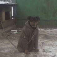 danil kolbasenko - steam id 76561199518096928