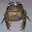 cool frog