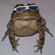 coolfrogg