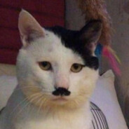 Kitler