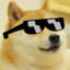 *iced_out*Doge