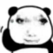 主打的就是睿智PRO