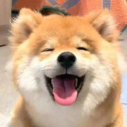 新时代小摆子