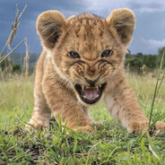 popa - steam id 76561199133545134