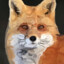 FapFox