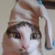 前10道没上的菜只是警告