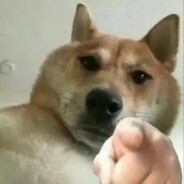 华中师大垃圾校园网