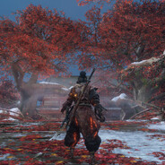 Avatar snapshot
