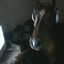 mrrrrrrphphphph