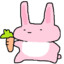 CarroT_o_o