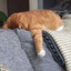 暖zzZ
