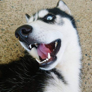 医生说抖腿是一种病