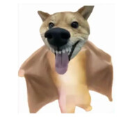 我才是玉面手雷王嘻嘻