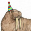 Party_Walrus