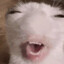 sybknee