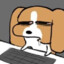 Raredace