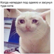 ссср