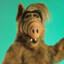 Alf&#039;s my Dad