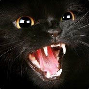 fluf - steam id 76561197961432522