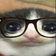 • Gato Chifero ツ •