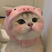 lil rabbit♥