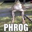 Phrog