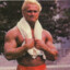 Tom Platz