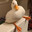 Seelixh 🐥🦆