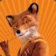 Mr.Fox07