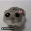 :c