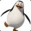 Pinguin_Eric