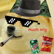 [MLG] SWAG DOGE v2