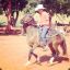 Ricardo4t