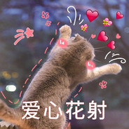 Rurutia