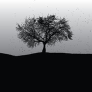 Кирилл  Чикишев