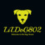 LiLDoG802