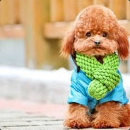 Big Avatar