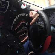 洞庭湖畔老麻雀