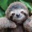 Slothy man