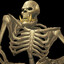 DA SPOOPIE GOOPIE