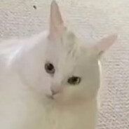 蜜汁脆皮大鸡腿