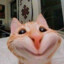 TorkitTi