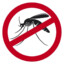 Mosquito
