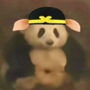 一只可爱的靓仔