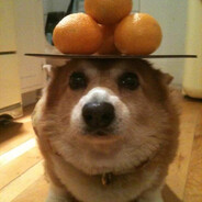 Шмонька