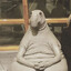 Fat but cute