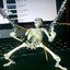 Avatar of Spooky Meister