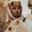 BauerBloke