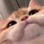 lül
