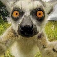 DASTA - steam id 76561197965669587